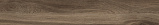 Лента кромочная 0,4x19 мм, Дуб Кастелло коньячный К359, GP-Plast (3) (кратно 5 м, 200 м)