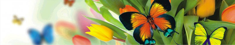Стеновая панель AKRI МДФ 610*2000*6, СП-03 Бабочки на тюльпанах (ПОД ЗАКАЗ)