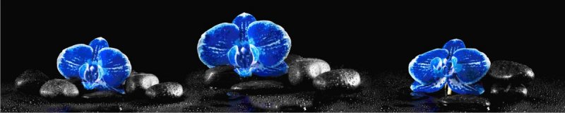 Стеновая панель МАТОВАЯ  МДФ 610*2000*6, СП-56 Орхидеи синие