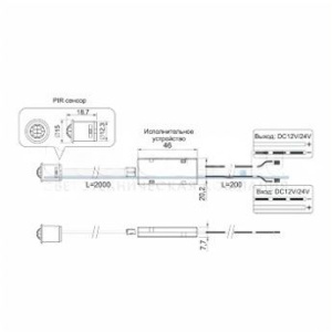 PIR 12V_24V _ выключатель на движение 12V_60W, 24V_100W